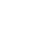 The Shine Shack